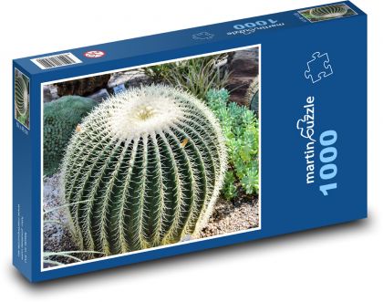 Kaktus - pichlavá rostlina, květina - Puzzle 1000 dílků, rozměr 60x46 cm