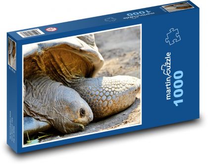 Obří želva - plaz, zoo - Puzzle 1000 dílků, rozměr 60x46 cm