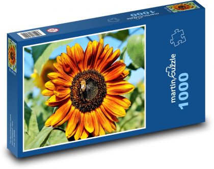 Slunečnice - květina, rostlina - Puzzle 1000 dílků, rozměr 60x46 cm