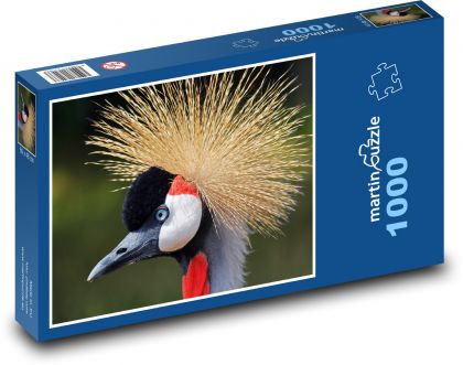 Čierny žeriav - vták, zviera - Puzzle 1000 dielikov, rozmer 60x46 cm