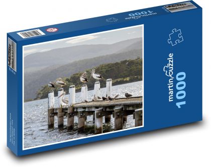Pelikán - pták, molo - puzzle 1000 dílků