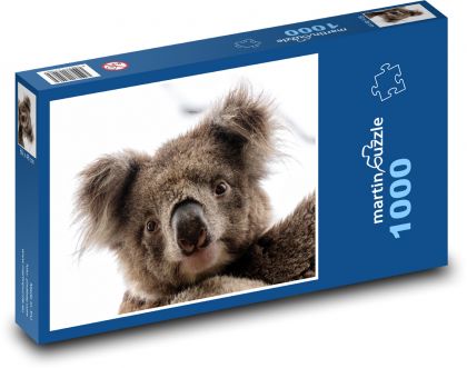 Miś koala - torbacz, zwierzę - Puzzle 1000 elementów, rozmiar 60x46 cm