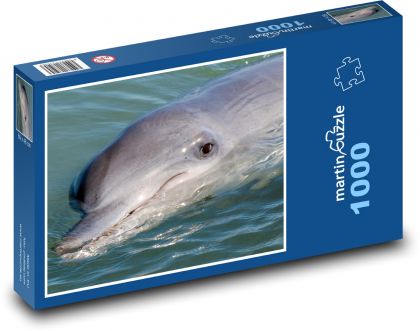Delfín - zviera, cicavec - Puzzle 1000 dielikov, rozmer 60x46 cm