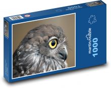 Dravá sova - pták, zvíře Puzzle 1000 dílků - 60 x 46 cm