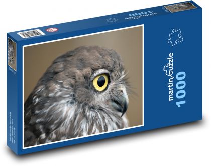 Predatory owl - bird, animal - Puzzle 1000 pieces, size 60x46 cm 