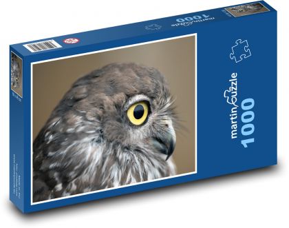 Dravá sova - pták, zvíře - Puzzle 1000 dílků, rozměr 60x46 cm
