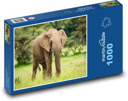 Afrikanischer Elefant - Tier, Savanne - Puzzle - 1000 Teile