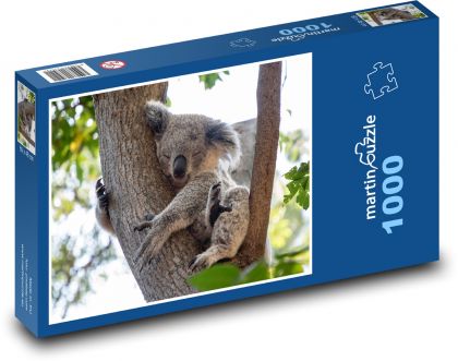 Koala - teddy bear, animal - Puzzle 1000 pieces, size 60x46 cm 