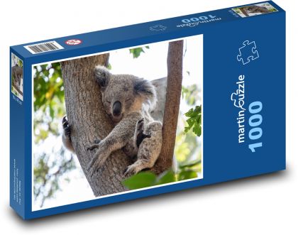 Koala - medvedík, zviera - Puzzle 1000 dielikov, rozmer 60x46 cm