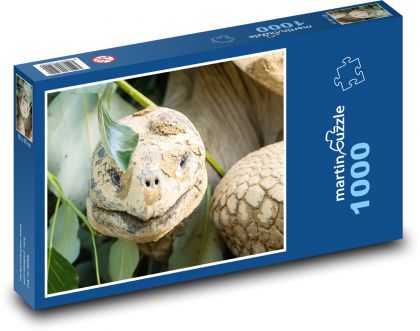 Galapagos-Riesenschildkröte - Reptil, Tier - Puzzle - 1000 Teile