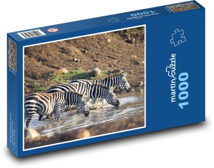 Zebra - savana, Afrika - Puzzle 1000 dílků, rozměr 60x46 cm