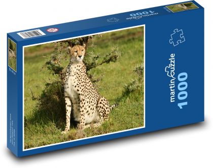 Cheetah - wildlife, Africa - Puzzle 1000 pieces, size 60x46 cm 