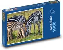 Zebra - gestreiftes Tier, Säugetier Puzzle 1000 Teile - 60 x 46 cm