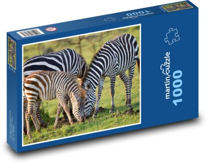 Zebra - gestreiftes Tier, Säugetier - Puzzle - 1000 Teile