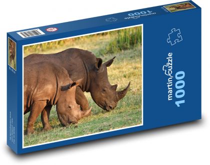 Nosorožec tuponosý - zvířat, divoká zvěř  - Puzzle 1000 dílků, rozměr 60x46 cm