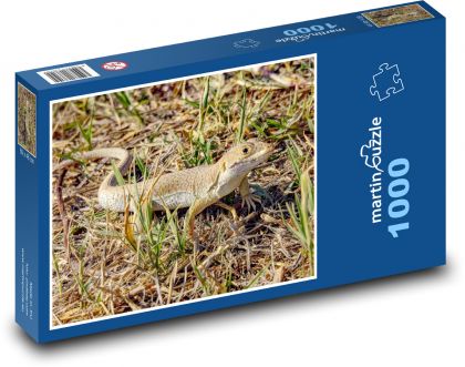 Jašterica - plaz, zviera - Puzzle 1000 dielikov, rozmer 60x46 cm
