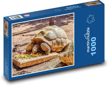Giant turtle - reptile, animal - Puzzle 1000 pieces, size 60x46 cm 