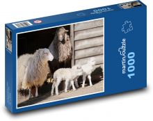 Ovce - dobytek, jehňata Puzzle 1000 dílků - 60 x 46 cm