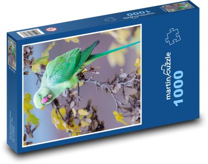 Papagáj - vták, zviera - Puzzle 1000 dielikov, rozmer 60x46 cm