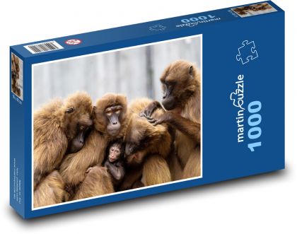 Affen - Familie, Primaten - Puzzle - 1000 Teile
