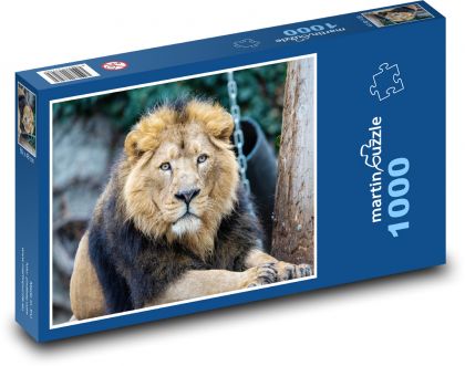 Asijský lev - savec, zvíře - Puzzle 1000 dílků, rozměr 60x46 cm