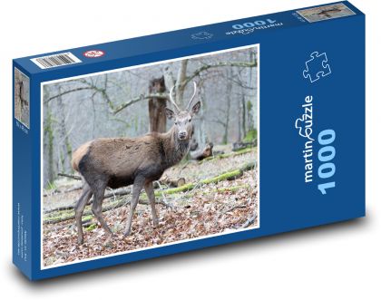 Deer - wildlife, forest - Puzzle 1000 pieces, size 60x46 cm 