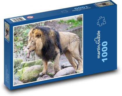 Lew - ssak, zwierzę - Puzzle 1000 elementów, rozmiar 60x46 cm