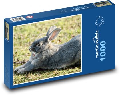 Králík - zvíře, jaro - puzzle 1000 dílků