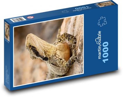Jaszczurka - gad, zwierzę - Puzzle 1000 elementów, rozmiar 60x46 cm
