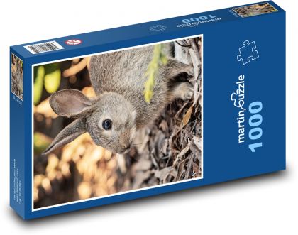 Rabbit - animal, rodent - Puzzle 1000 pieces, size 60x46 cm 