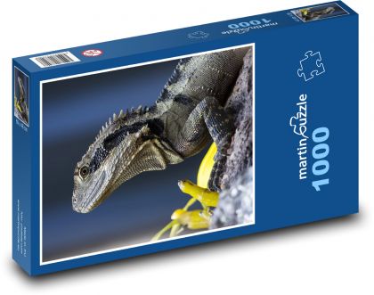Lizard - animal, reptile - Puzzle 1000 pieces, size 60x46 cm 