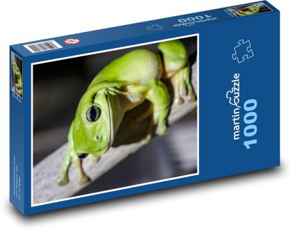 Frog - amphibian, dewcock - Puzzle 1000 pieces, size 60x46 cm 