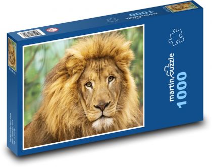 Lev - velká kočka, zvíře - Puzzle 1000 dílků, rozměr 60x46 cm