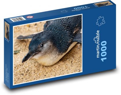 Penguin - bird, animal - Puzzle 1000 pieces, size 60x46 cm 