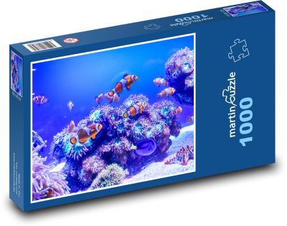 Akvárium - klaun, moře - Puzzle 1000 dílků, rozměr 60x46 cm
