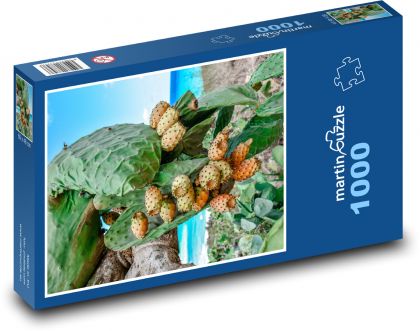Opuncie - kaktus, ovoce - Puzzle 1000 dílků, rozměr 60x46 cm