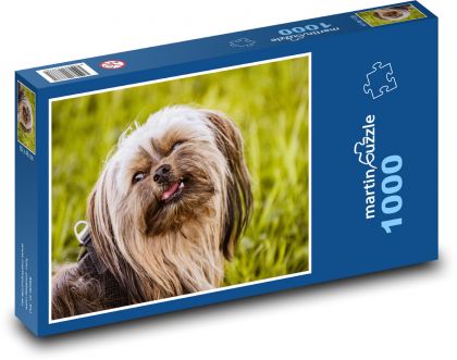 Yorkshirský teriér - pes, zviera - Puzzle 1000 dielikov, rozmer 60x46 cm