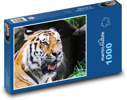 Tygr - dravec, zvíře - Puzzle 1000 dílků, rozměr 60x46 cm