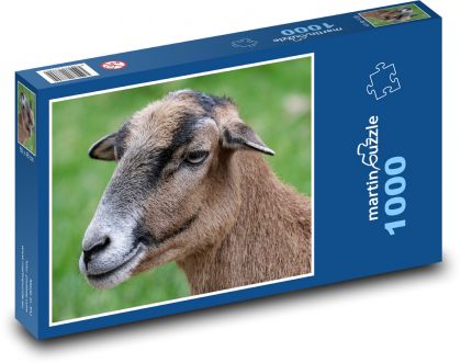 Kamerunské ovce - zviera, farma - Puzzle 1000 dielikov, rozmer 60x46 cm