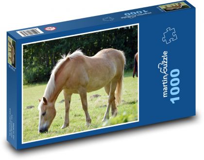 Kôň - pasienok, zviera - Puzzle 1000 dielikov, rozmer 60x46 cm