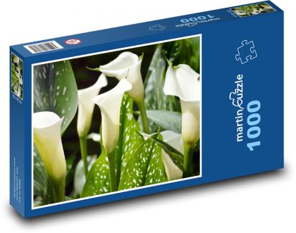 Kala - květina, rostlina - Puzzle 1000 dílků, rozměr 60x46 cm