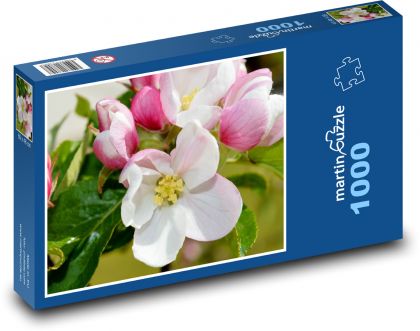 Apfelblüten - Blätter, Baum - Puzzle - 1000 Teile