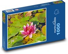 Lilia wodna - kwiat, roślina Puzzle 1000 elementów - 60x46 cm