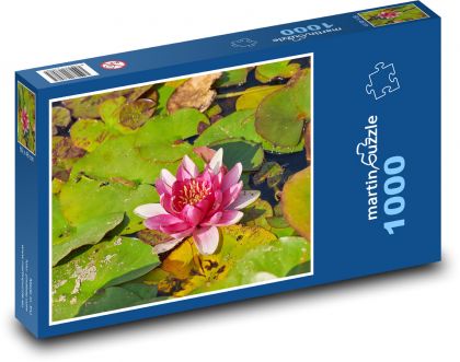 Lilia wodna - kwiat, roślina - Puzzle 1000 elementów, rozmiar 60x46 cm