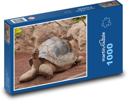 Korytnačka - plaz, zviera - Puzzle 1000 dielikov, rozmer 60x46 cm