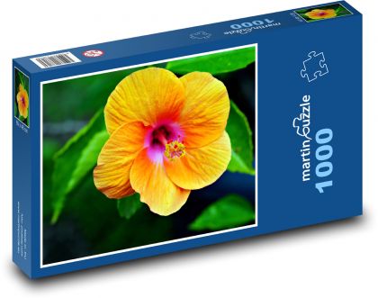 Žltý ibištek - kvet, záhrada - Puzzle 1000 dielikov, rozmer 60x46 cm