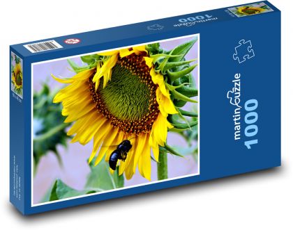 Slunečnice - květina, květ - Puzzle 1000 dílků, rozměr 60x46 cm