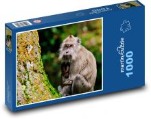 Bengal tiger - wild animal, zoo Puzzle 1000 pieces - 60 x 46 cm 