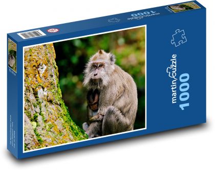 Bengálský tygr - divoké zvíře, zoo - Puzzle 1000 dílků, rozměr 60x46 cm