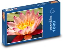 Lilia wodna - roślina wodna, kwiat Puzzle 1000 elementów - 60x46 cm